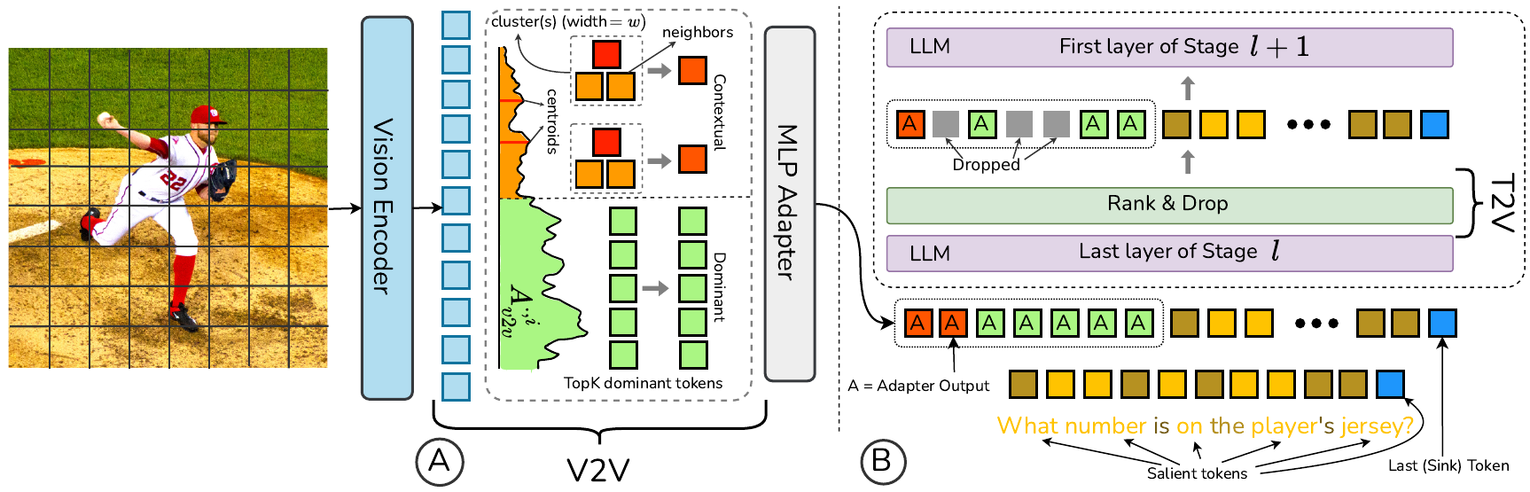 DUET-VLM pipeline
